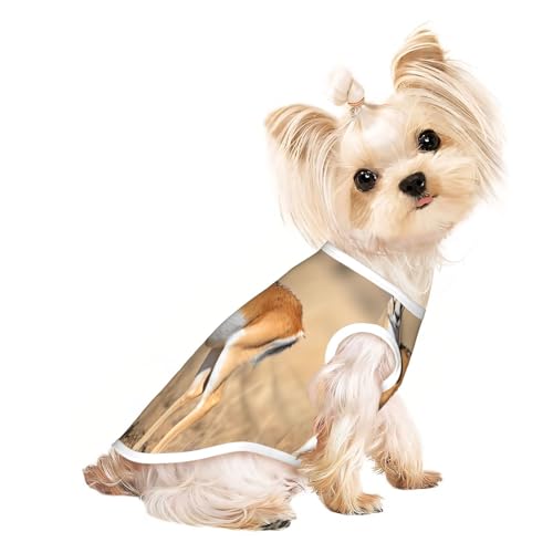 Niedliche Hundekleidung mit Antilope-Motiv auf dem Grasland, Hunde-T-Shirt für kleine Hunde, Mädchen, Jungen. Haustier-Pullover, Katzenkleidung, geeignet für kleine Haustiere von HMBGFW