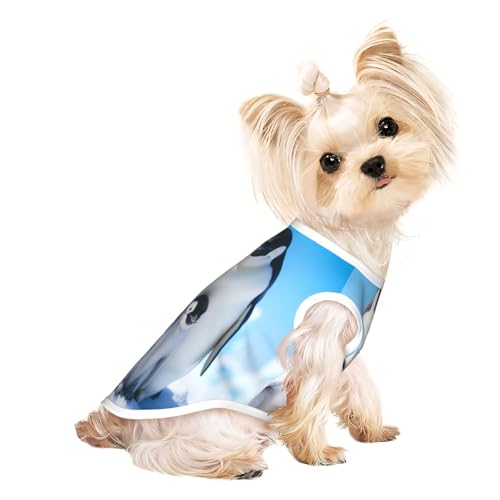 Niedliche Hundekleidung mit Pinguin-Motiv für kleine Hunde, Mädchen und Jungen. Haustier-Pullover, Katzenkleidung, geeignet für kleine Haustiere von HMBGFW