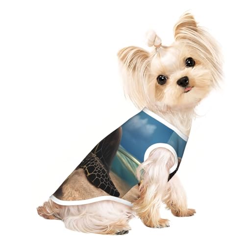 Niedliche Hundekleidung mit Schildkröte am Strand, Hunde-T-Shirt für kleine Hunde, Mädchen und Jungen. Haustier-Pullover, Katzenkleidung, geeignet für kleine Haustiere von HMBGFW