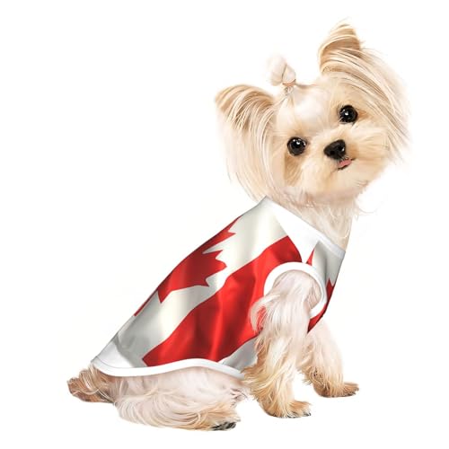 Niedliche Hundekleidung mit kanadischer Flagge, Hunde-T-Shirt für kleine Hunde, Mädchen, Jungen. Haustier-Pullover, Katzenkleidung, geeignet für kleine Haustiere Niedliche Hundekleidung mit kanadischer Flagge, Hunde-T-Shirt für kleine Hunde, Mädchen, Jungen. Haustier-Pullover, Katzenkleidung, geeignet für kleine Haustiere von HMBGFW