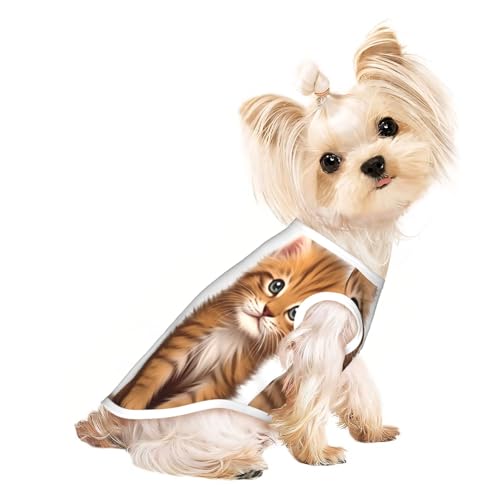 Niedliche Hundekleidung mit zwei niedlichen Katzen, Hunde-T-Shirt für kleine Hunde, Mädchen, Jungen. Haustier-Pullover, Katzenkleidung, geeignet für kleine Haustiere von HMBGFW