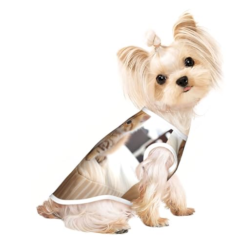 Niedliches Kätzchen-Hunde-T-Shirt, für kleine Hunde, Mädchen, Jungen. Haustier-Pullover, Katzenkleidung, geeignet für kleine Haustiere von HMBGFW