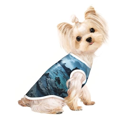 Reefs by The Sea Niedliche Hundekleidung, Hunde-T-Shirt für kleine Hunde, Mädchen und Jungen. Haustier-Pullover, Katzenkleidung, geeignet für kleine Haustiere von HMBGFW