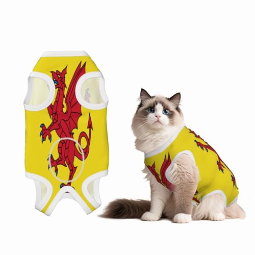 Somerset County Flaggen-Genesungsanzug für Hunde und Katzen nach Operationen, Haustier-Genesungs-Shirt, Einteiler, Haustier-Operationsanzug Somerset County Flaggen-Genesungsanzug für Hunde und Katzen nach Operationen, Haustier-Genesungs-Shirt, Einteiler, Haustier-Operationsanzug von HMBGFW