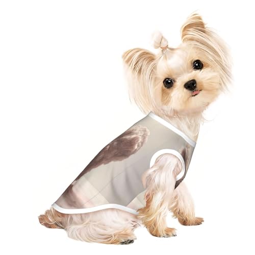 Süßes Hunde-T-Shirt für kleine Hunde, Mädchen, Jungen, Haustierpullover, Katzenkleidung, geeignet für kleine Haustiere von HMBGFW