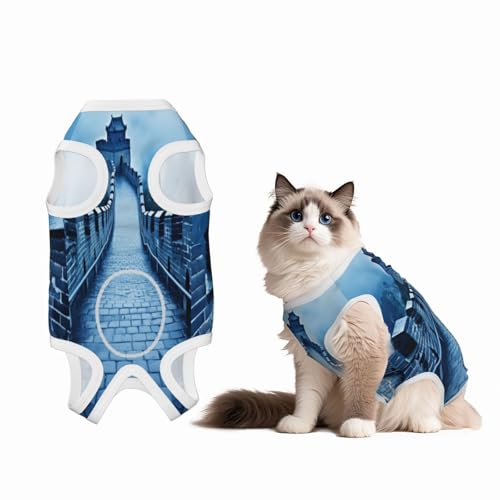 The Great Wall Genesungsanzug für Hunde und Katzen nach Operationen, Haustier-Genesungs-Shirt, Einteiler, Haustier-Operationsanzug von HMBGFW