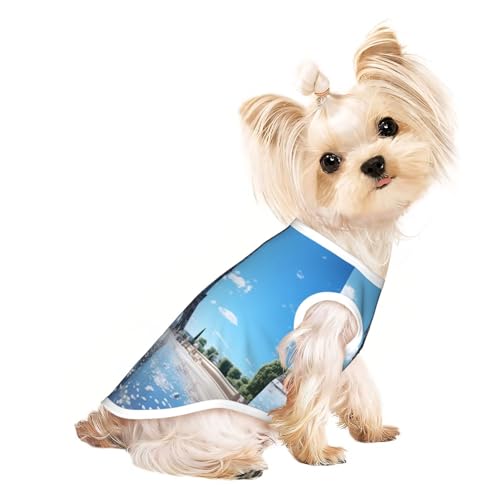 The Majestic Eiffelturm süße Hundekleidung, Hunde-T-Shirt für kleine Hunde, Mädchen, Jungen. Haustier-Pullover, Katzenkleidung, geeignet für kleine Haustiere von HMBGFW