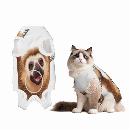 Tier-Faultier-Wiederherstellungsanzug für Hunde und Katzen nach Operationen, Haustier-Genesungs-Shirt, Einteiler für Haustier-Operationen Tier-Faultier-Wiederherstellungsanzug für Hunde und Katzen nach Operationen, Haustier-Genesungs-Shirt, Einteiler für Haustier-Operationen von HMBGFW