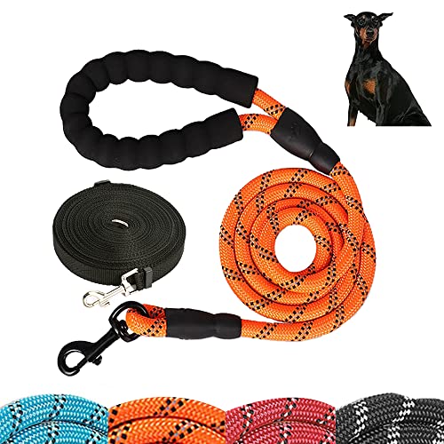 2 Lang Kurz Hundeleinen-Set - Trainingsleine Hundeleine 10M und Reflektierende Hundeleine 2M Hunde schleppleine gepolsterter Griff für Kleine bis Große Hunde (Orange) von HMCEY