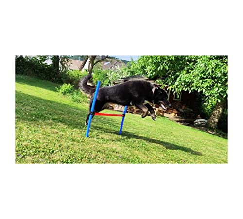 Hunde Agility Sprungstange Set 1/2 / 4 Sets Tragetasche Hundesport Dog Activity Obstacle Pole Höhenverstellbar Hindernis Parcours Hundetraining Bewegung Kunststoffstangen mit Erdspieß (1 Set) von HMH