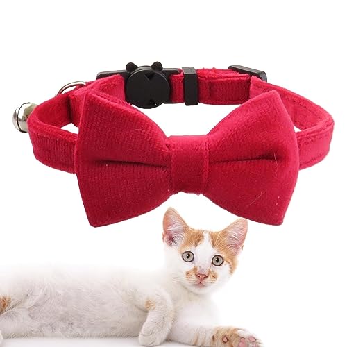 HMLTD Haustierhalsband mit Glocke | Nicht reizendes Haustierhalsband für Hunde und Katzen,Haustierbedarf für Outdoor-Aktivitäten für Fotografie, Hochzeit, Zuhause, Spazierengehen, Reisen HMLTD Haustierhalsband mit Glocke | Nicht reizendes Haustierhalsband für Hunde und Katzen,Haustierbedarf für Outdoor-Aktivitäten für Fotografie, Hochzeit, Zuhause, Spazierengehen, Reisen von HMLTD