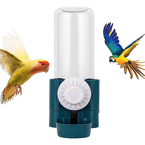 HMLTD Vogeltränke für Käfig - 500 ml automatischer Vogelwassernapf Wasservogelfutterspender,Vogelkäfig-Futterspender mit großer Kapazität, Wasserflaschentrinker für Papageien, Eichhörnchen, HMLTD Vogeltränke für Käfig - 500 ml automatischer Vogelwassernapf Wasservogelfutterspender,Vogelkäfig-Futterspender mit großer Kapazität, Wasserflaschentrinker für Papageien, Eichhörnchen, von HMLTD