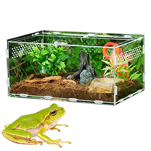 Reptilien-Terrarium - Transparente Reptilienzuchtbox | Terrarienkäfig Tank für Vogelspinne Skorpion Sling Asseln Wirbellose Insekten Gottesanbeterin Hmltd von HMLTD