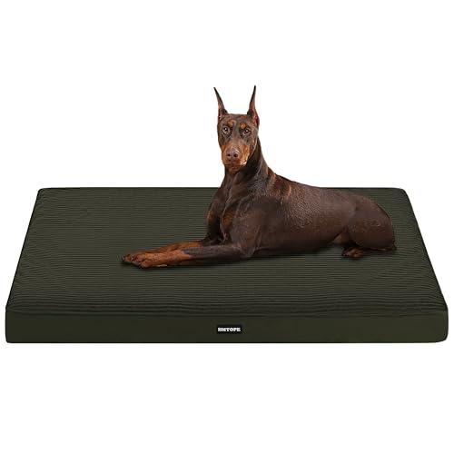 HMTOPE Orthopädisches Hundebett, 10cm Dicke Hundekissen für Grosse Hunde, Abnehmbar und Waschbar Hundematte, rutschfeste Unterseite, Wasserdichtes Innenfutter, 120 cm, Olivgrün HMTOPE Orthopädisches Hundebett, 10cm Dicke Hundekissen für Grosse Hunde, Abnehmbar und Waschbar Hundematte, rutschfeste Unterseite, Wasserdichtes Innenfutter, 120 cm, Olivgrün von HMTOPE
