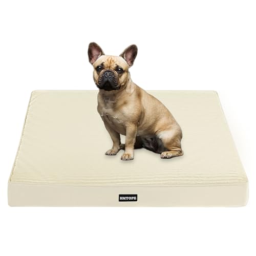 HMTOPE Orthopädisches Hundebett, 8cm Dicke Hundekissen für Kleine Hunde, Abnehmbar und Waschbar Hundematte, rutschfeste Unterseite, Wasserdichtes Innenfutter, 76 cm, Beige HMTOPE Orthopädisches Hundebett, 8cm Dicke Hundekissen für Kleine Hunde, Abnehmbar und Waschbar Hundematte, rutschfeste Unterseite, Wasserdichtes Innenfutter, 76 cm, Beige von HMTOPE