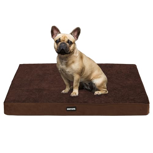 HMTOPE Orthopädisches Hundebett, 8cm Dicke Hundekissen für Kleine Hunde, Abnehmbar und Waschbar Hundematte, rutschfeste Unterseite, Wasserdichtes Innenfutter, 76 cm, Braun HMTOPE Orthopädisches Hundebett, 8cm Dicke Hundekissen für Kleine Hunde, Abnehmbar und Waschbar Hundematte, rutschfeste Unterseite, Wasserdichtes Innenfutter, 76 cm, Braun von HMTOPE