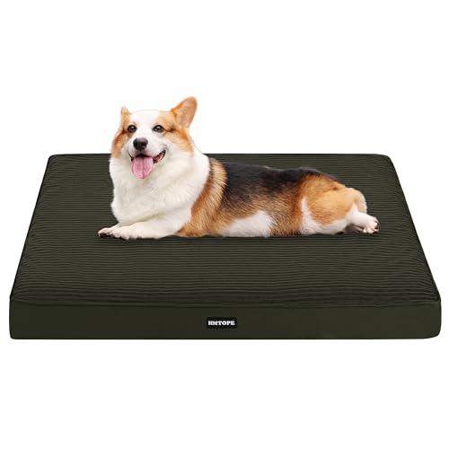 HMTOPE Orthopädisches Hundebett, 9cm Dicke Hundekissen für Mittelgroße Hunde, Abnehmbar und Waschbar Hundematte, rutschfeste Unterseite, Wasserdichtes Innenfutter, 91 cm, Olivgrün HMTOPE Orthopädisches Hundebett, 9cm Dicke Hundekissen für Mittelgroße Hunde, Abnehmbar und Waschbar Hundematte, rutschfeste Unterseite, Wasserdichtes Innenfutter, 91 cm, Olivgrün von HMTOPE