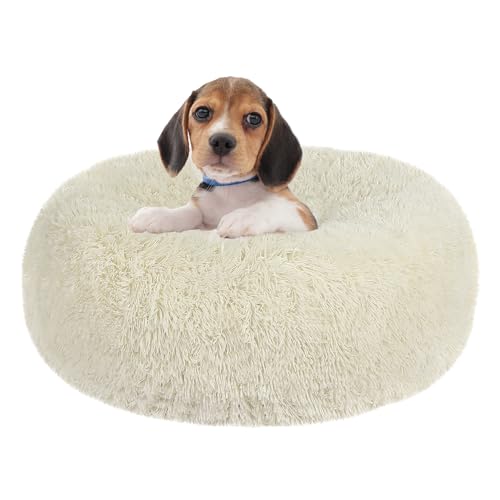 HMTOPE Orthopädisches Hundebett rund Hundekissen Hundesofa Katzenbett Donut Kuscheliges Hundekorb Waschbar, 60 cm Ø, Beige HMTOPE Orthopädisches Hundebett rund Hundekissen Hundesofa Katzenbett Donut Kuscheliges Hundekorb Waschbar, 60 cm Ø, Beige von HMTOPE