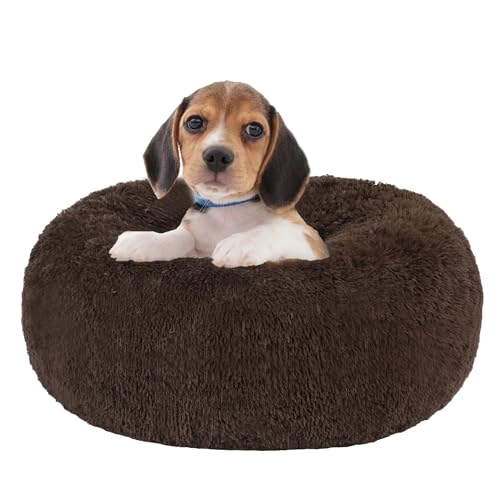 HMTOPE Orthopädisches Hundebett rund Hundekissen Hundesofa Katzenbett Donut Kuscheliges Hundekorb Waschbar, 60 cm Ø, Braun HMTOPE Orthopädisches Hundebett rund Hundekissen Hundesofa Katzenbett Donut Kuscheliges Hundekorb Waschbar, 60 cm Ø, Braun von HMTOPE