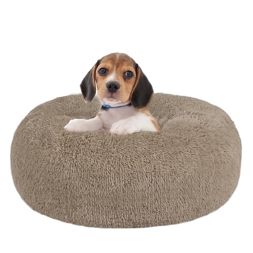 HMTOPE Orthopädisches Hundebett rund Hundekissen Hundesofa Katzenbett Donut Kuscheliges Hundekorb Waschbar, 60 cm Ø, Kamelbraun HMTOPE Orthopädisches Hundebett rund Hundekissen Hundesofa Katzenbett Donut Kuscheliges Hundekorb Waschbar, 60 cm Ø, Kamelbraun von HMTOPE