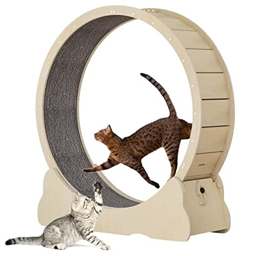 Cat Exercise Wheel, Großes Cat Laufband mit Teppichbahn, Cat Sport Spielzeug Laufrad, Fitness Gewichtsverlust Gerät für Katzen aller Größen, Natürliche Holzfarbe,XL von HMWJD