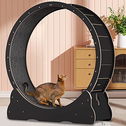 Cat Exercise Wheel, Indoor Cat Running Wheel, Cat Treadmill with Carpeted Runway, Small Cat Sport Toy Fits For most Cats, Roller Diameter 39 Inch for physical anstrengung,Black von HMWJD
