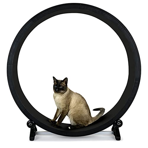 Cat Laufband, Katzenlaufrad ohne Öffnung für Innenkatzen, Sicherheitsleises Katzenlaufrad mit Gehbahn mit Teppich, Katzenlaufband für längere Lebensdauer Cat Laufband, Katzenlaufrad ohne Öffnung für Innenkatzen, Sicherheitsleises Katzenlaufrad mit Gehbahn mit Teppich, Katzenlaufband für längere Lebensdauer von HMWJD
