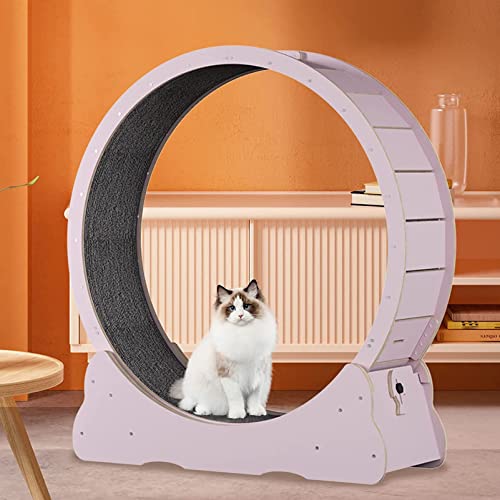 Cat Übungsrad für Design ohne Öffnung, Lauf-, Dreh- und Kratzspaß, Katzenlaufband mit Gehbahn mit Teppich, Katzen-Schlankheitsgerät mit Verriegelung, Rosa-L Cat Übungsrad für Design ohne Öffnung, Lauf-, Dreh- und Kratzspaß, Katzenlaufband mit Gehbahn mit Teppich, Katzen-Schlankheitsgerät mit Verriegelung, Rosa-L von HMWJD