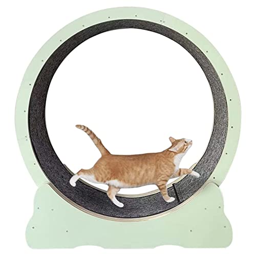Cat Übungsrad für Design ohne Öffnung, Lauf-, Dreh- und Kratzspaß, Katzenlaufband mit Laufbahn mit Teppich, Katzen-Schlankheitsgerät mit Verriegelung, Grün-XL von HMWJD