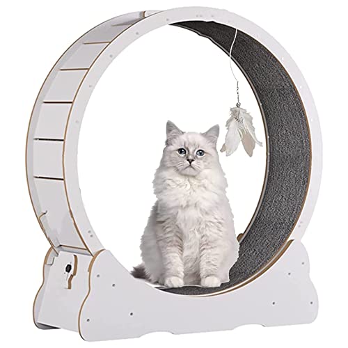 Großes Katzenlaufband mit No-Gap-Design, Laufrad für Indoor-Katzen, Sicherheit, leises Katzenlaufrad, Katzen Gewichtsverlustgerät mit Feststellvorrichtung, Weiß-XL von HMWJD
