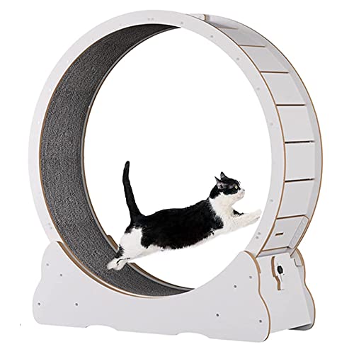 Großes Katzenlaufrad mit Sicherungsstift, Katzenlaufband für Indoor-Katzen, leises Laufrad, kein Lücken-Design, Innendurchmesser 100 cm, Weiß Großes Katzenlaufrad mit Sicherungsstift, Katzenlaufband für Indoor-Katzen, leises Laufrad, kein Lücken-Design, Innendurchmesser 100 cm, Weiß von HMWJD
