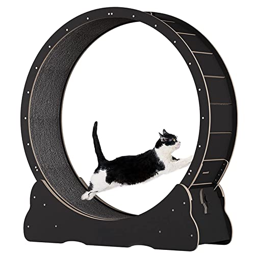 Großes Katzenlaufrad mit Sicherungsstift, Katzenlaufband für Indoor-Katzen, leises Laufrad, kein Lücken-Design, Innendurchmesser 100 cm, schwarz Großes Katzenlaufrad mit Sicherungsstift, Katzenlaufband für Indoor-Katzen, leises Laufrad, kein Lücken-Design, Innendurchmesser 100 cm, schwarz von HMWJD