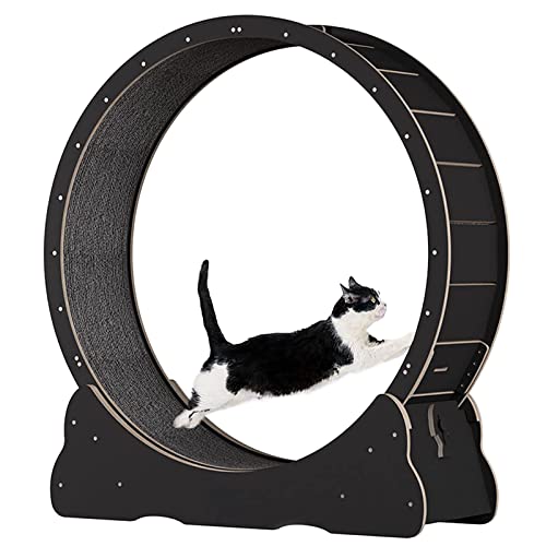 Großes Katzenlaufrad mit Sicherungsstift, Katzenlaufband für Indoor-Katzen, leises Laufrad, kein Lücken-Design, Innendurchmesser 100 cm, schwarz von HMWJD