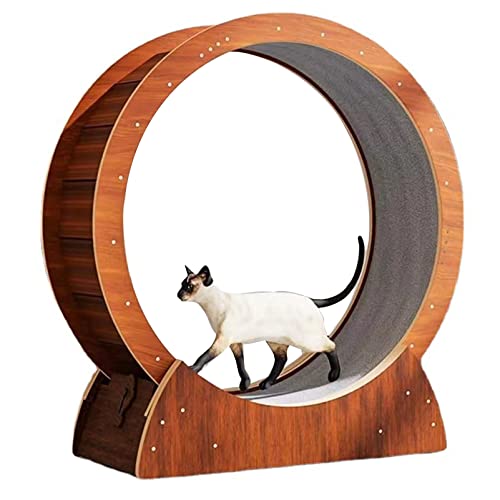 Katzen-Laufrad mit No-Gap-Design, Katzenlaufband für Indoor-Katzen, Sicherheits-Anti-Pinch-leises Katzenlaufrad, Katzen Gewichtsverlustgerät mit Feststellvorrichtung, L von HMWJD