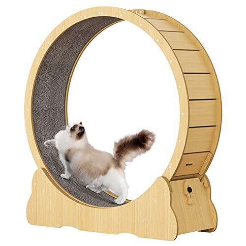 Katzenlaufband mit Feststellvorrichtung, No-Gap-Design Übungsrad, Sicherheit Anti-Pinch Silent Cat Laufrad, Katzen Gewichtsverlust Gerät für den Innenbereich, L Katzenlaufband mit Feststellvorrichtung, No-Gap-Design Übungsrad, Sicherheit Anti-Pinch Silent Cat Laufrad, Katzen Gewichtsverlust Gerät für den Innenbereich, L von HMWJD