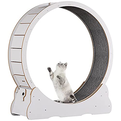 Katzenlaufrad, Sicherheits-Anti-Pinch-Katzenlaufband für Indoor-Katzen, Katzenlaufrad, interaktives Katzenspielzeug zum Abnehmen mit Feststellvorrichtung, Weiß-M von HMWJD