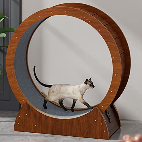 Katzenrad Laufband Laufband Laufrad für Indoor-Katzen Übung Haustierspielzeug, Katzen Gewichtsverlust Gerät Laufrad Rotation Fitness Gewichtsverlust Spielzeug mit Verriegelungsvorrichtung, M Katzenrad Laufband Laufband Laufrad für Indoor-Katzen Übung Haustierspielzeug, Katzen Gewichtsverlust Gerät Laufrad Rotation Fitness Gewichtsverlust Spielzeug mit Verriegelungsvorrichtung, M von HMWJD