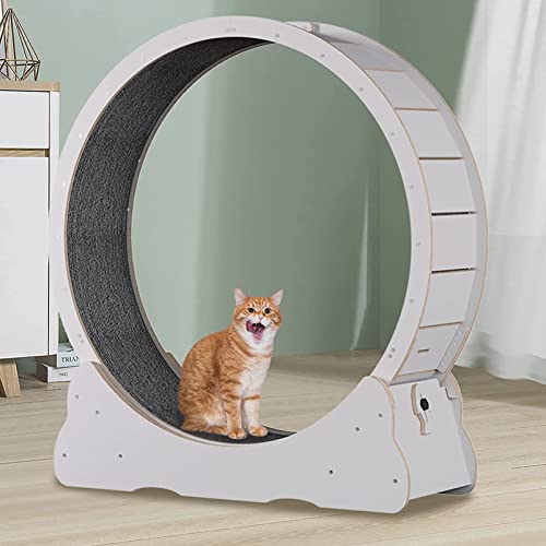 Katzenübungsrad, Laufrad für Indoor-Katzen, Laufband für Katzen mit Teppich Laufband mit Teppich Kleines Katzensportspielzeug passend für die meisten Katzen, Rollendurchmesser 39 Zoll für körperliche von HMWJD