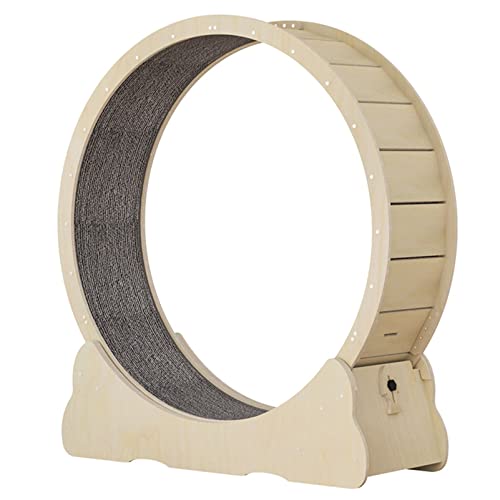 Laufrad für Katzen, Laufband für den Innenbereich, Laufband mit Teppichboden, Fitness-Gewichtsverlustgerät, Katzensportspielzeug für längere Lebensdauer mit Feststellvorrichtung, L Laufrad für Katzen, Laufband für den Innenbereich, Laufband mit Teppichboden, Fitness-Gewichtsverlustgerät, Katzensportspielzeug für längere Lebensdauer mit Feststellvorrichtung, L von HMWJD
