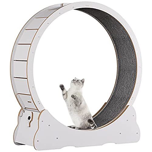 Laufrad für Katzen, leises Laufband für Katzen, Anti-Pizzing, Sicherheit für Katzen im Innenbereich, Spiele mit drehendem Rad für Katzen, Gewichtsverlust für Laufrad für Katzen, leises Laufband für Katzen, Anti-Pizzing, Sicherheit für Katzen im Innenbereich, Spiele mit drehendem Rad für Katzen, Gewichtsverlust für von HMWJD