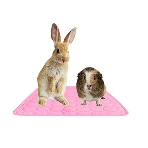 Doppelseitige Kaninchenmatte Meerschweinchen Sommer Kühles Kissen Kleines Haustierbett Haus Für Meerschweinchen Käfigeinlage Hamster Ratte Pee-Pad Kaninchenzubehör Lapin (L,Pink) von HNDB