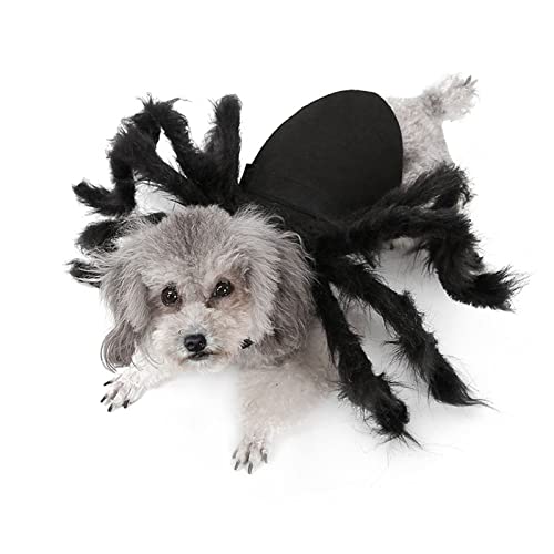 Halloween-Spinnen-Kostüm für Hundekatzen, Haustier-Plüsch-Spinnen-Kostüm, Kätzchen-Welpen-Halloween-Party-Cosplay-Kostüm, für mittelgroße kleine Hunde und Katzen (M) von HNDB