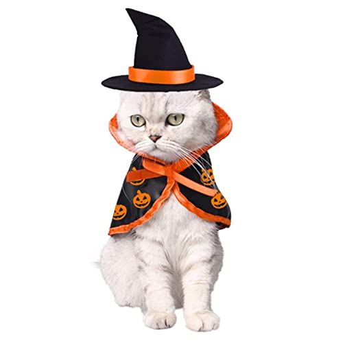 Hunde-Halloween-Kostüm-Set, Kätzchen-Kürbis-Outfits, Halloween-Hutanzug, Haustier-Cosplay-Kostüm, für kleine, mittelgroße Hunde und Katzen (Pumpkin) von HNDB