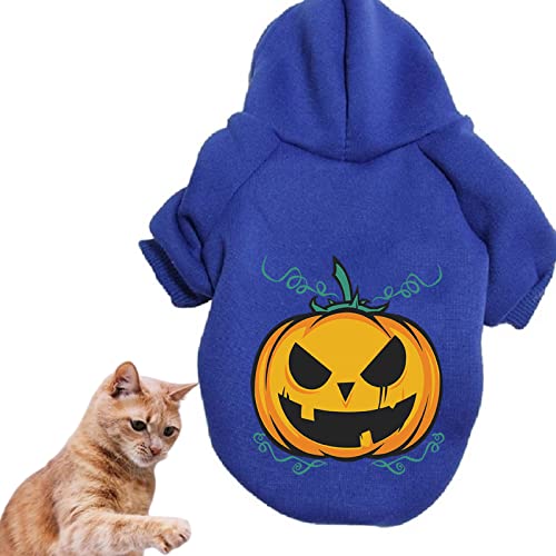 Hunde-Halloween-Kostüme, Haustier-Kürbis-Hoodie, Kätzchen-Polyester-Mantel, Welpen-Halloween-Kleidung, für kleine Hunde und Katzen, Cosplay (L,Blue) von HNDB