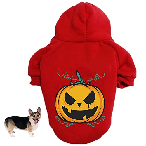 Hunde-Halloween-Kostüme, Haustier-Kürbis-Hoodie, Kätzchen-Polyester-Mantel, Welpen-Halloween-Kleidung, für kleine Hunde und Katzen, Cosplay (L,Red) von HNDB