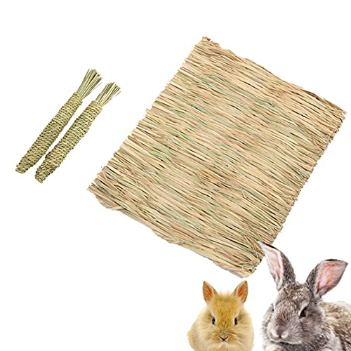 Kaninchen handgewebte Grasmatte Karotten Kauspielzeug-Set, essbare sichere Haustiermatten Stroh für Hamster Hasen Meerschweinchen, kleine Haustiere Bettspielzeug Kissen (Set L,1) von HNDB