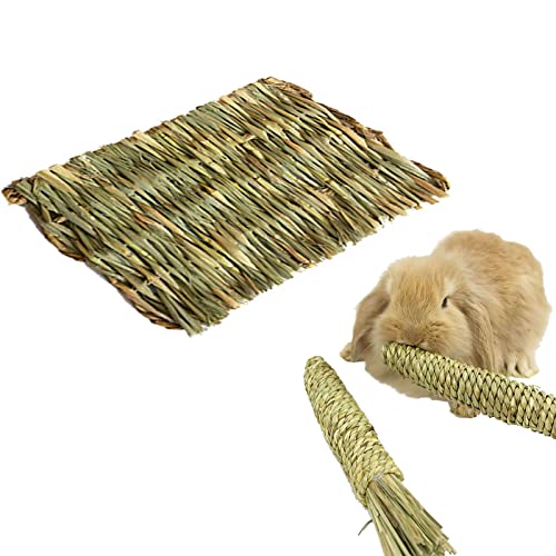 Kaninchen handgewebte Grasmatte Karotten Kauspielzeug-Set, essbare sichere Haustiermatten Stroh für Hamster Hasen Meerschweinchen, kleine Haustiere Bettspielzeug Kissen (Set S,1) von HNDB