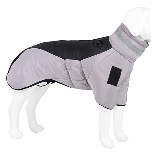 HNFYSMQL Hundekleidung Mantel Haustier Baumwolle zweibeinige warme Kleidung for mittelgroße Hunde (Color : Green, Size : 3XL 13-17.5KG) von HNFYSMQL