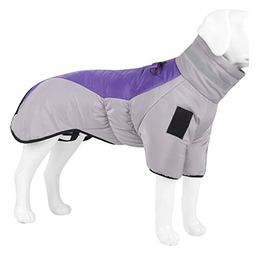 HNFYSMQL Hundekleidung Mantel Haustier Baumwolle zweibeinige warme Kleidung for mittelgroße Hunde (Color : Silver, Size : 3XL 13-17.5KG) von HNFYSMQL