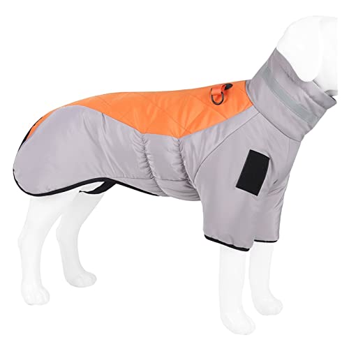 HNFYSMQL Hundekleidung Mantel Haustier Baumwolle zweibeinige warme Kleidung for mittelgroße Hunde (Color : White, Size : 2XL 10.5-12.5KG) von HNFYSMQL